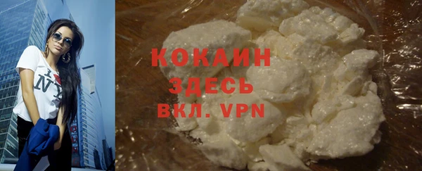 PSILOCYBIN Осинники