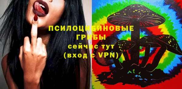 сатива Осташков