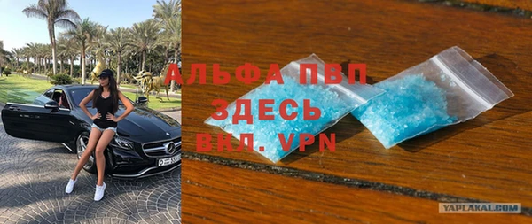сатива Осташков