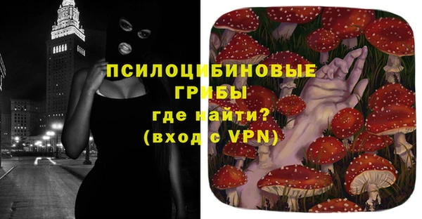 PSILOCYBIN Осинники