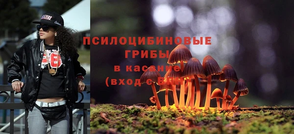 PSILOCYBIN Осинники