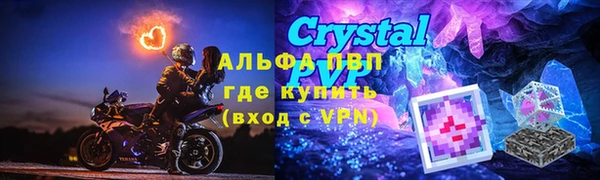 сатива Осташков