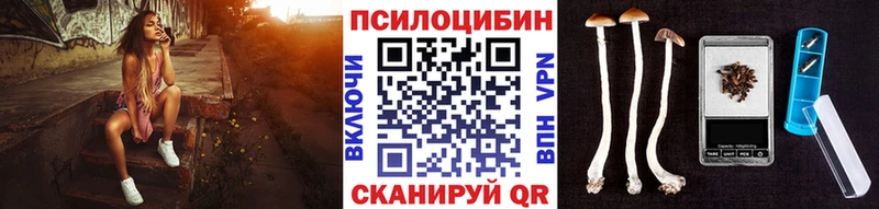 KRAKEN ссылка  Нахабино  Псилоцибиновые грибы ЛСД 